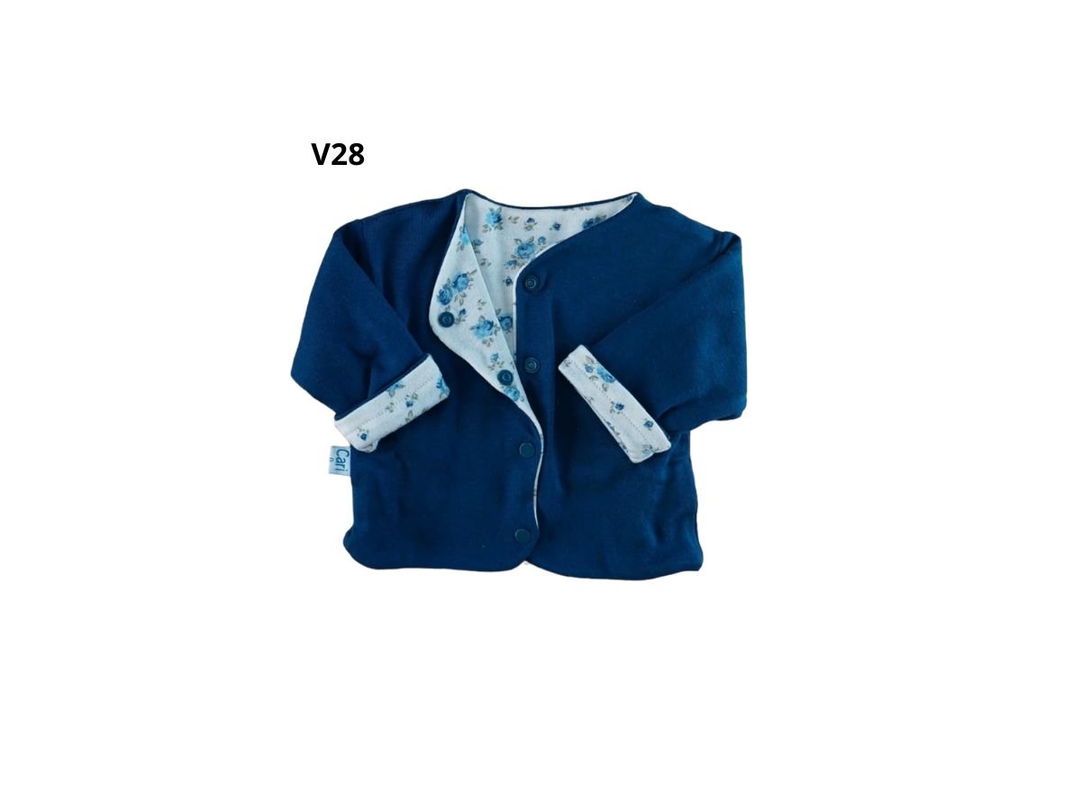 Art o217 V28
