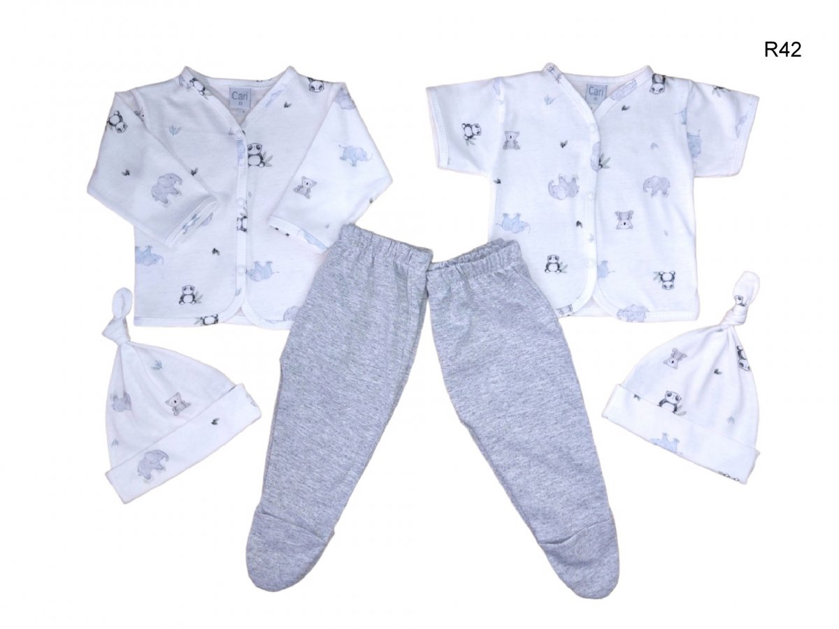 Art: a245 / Art: a246 r42