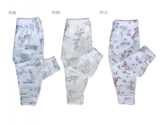 Art. i269 r36 / r38 / r13