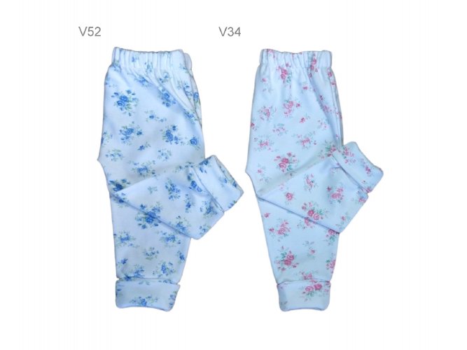 Art. i269 v52 / v34 / v24