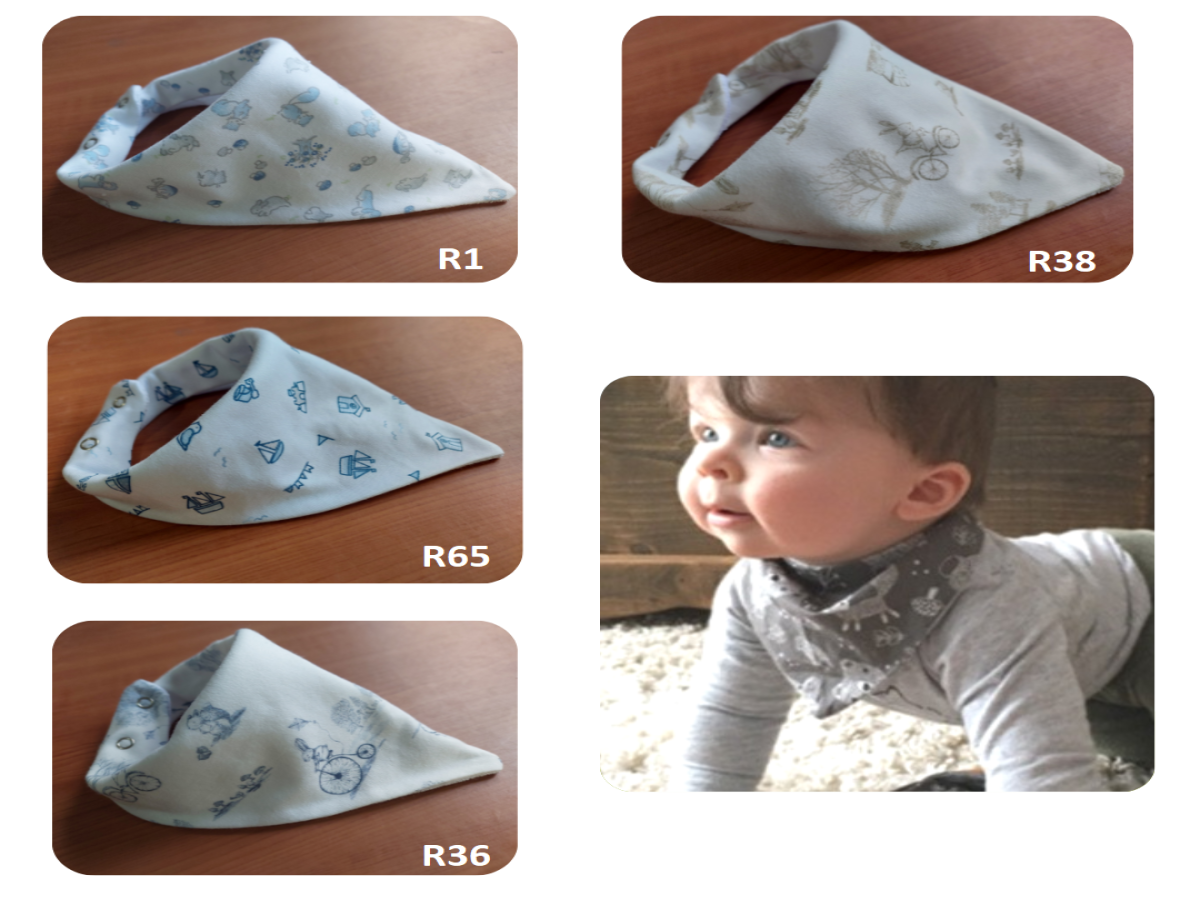 Art 91 r1 / r65 / r36 / r38